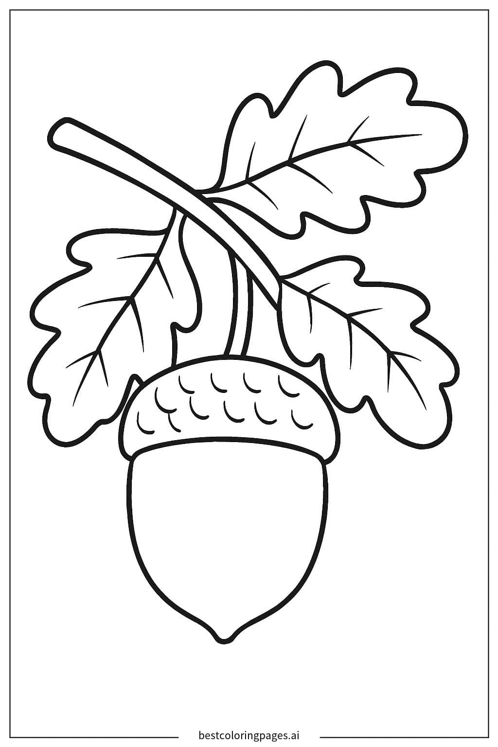 Desenhos de Bolota em um galho para Colorir