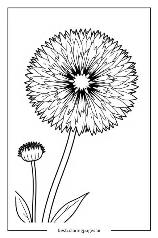 Disegni di Tarassaco in Fiore da Colorare