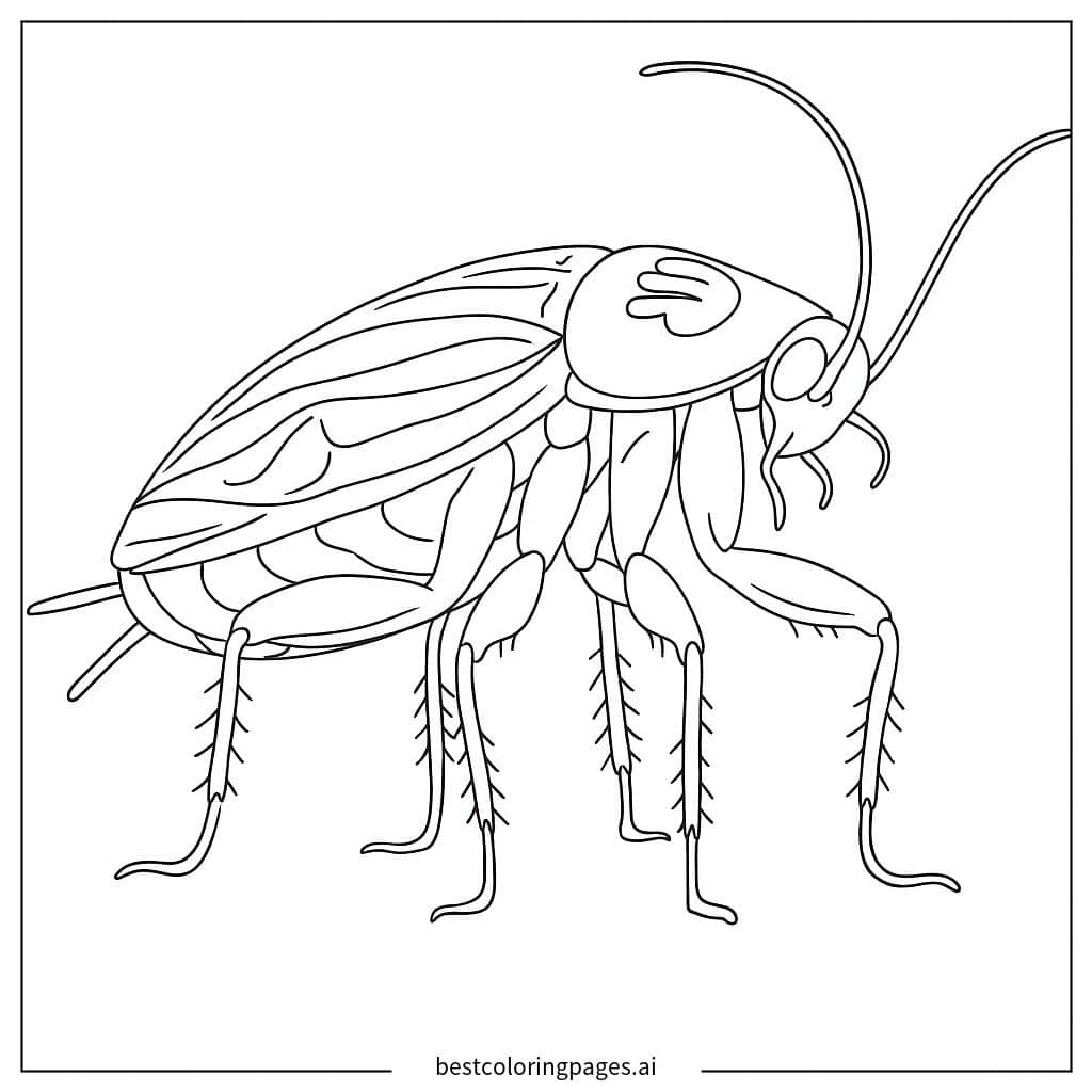 Disegni di Scarafaggio da colorare da Colorare