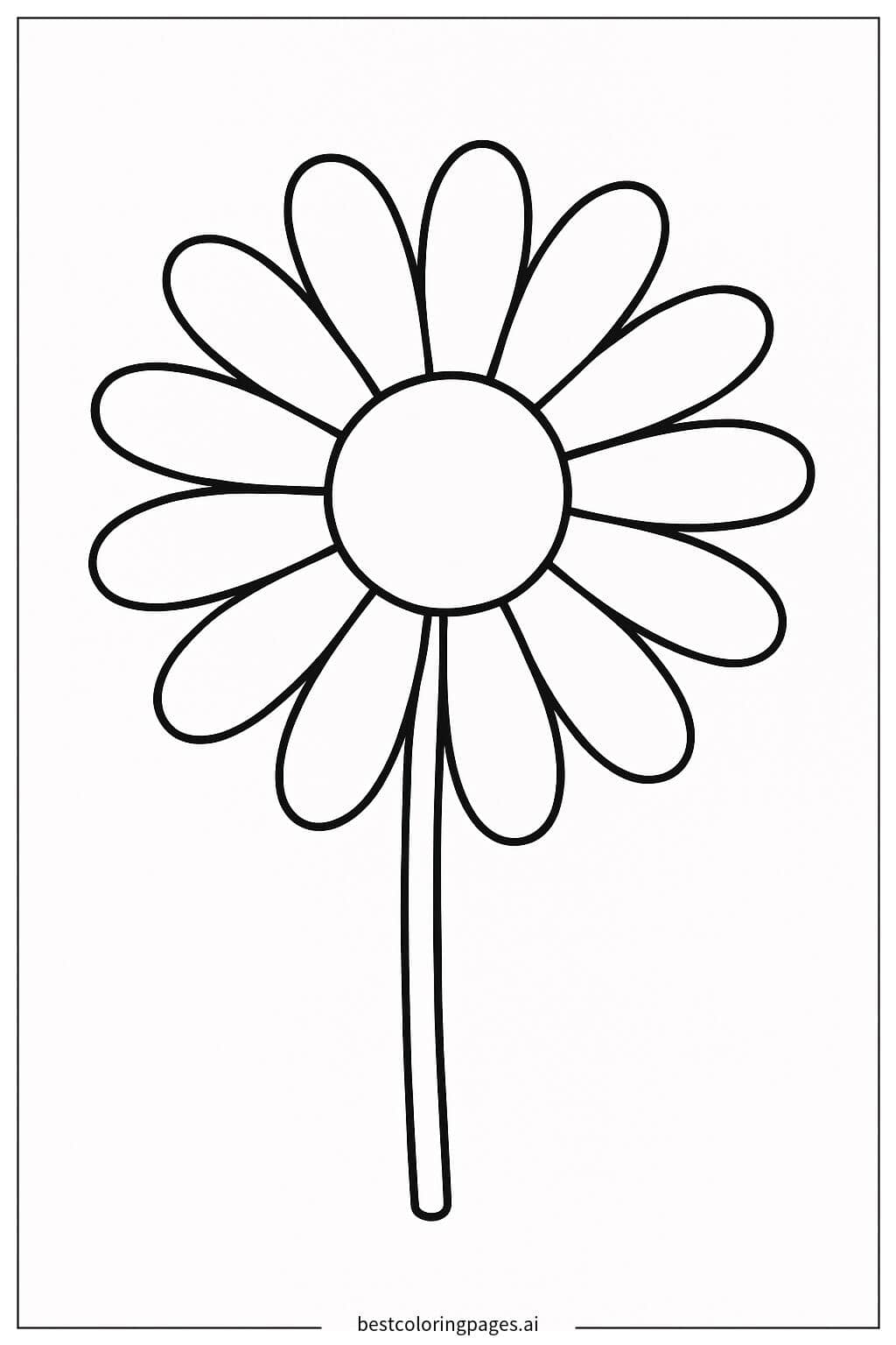 Daisy Blooming Coloring Page