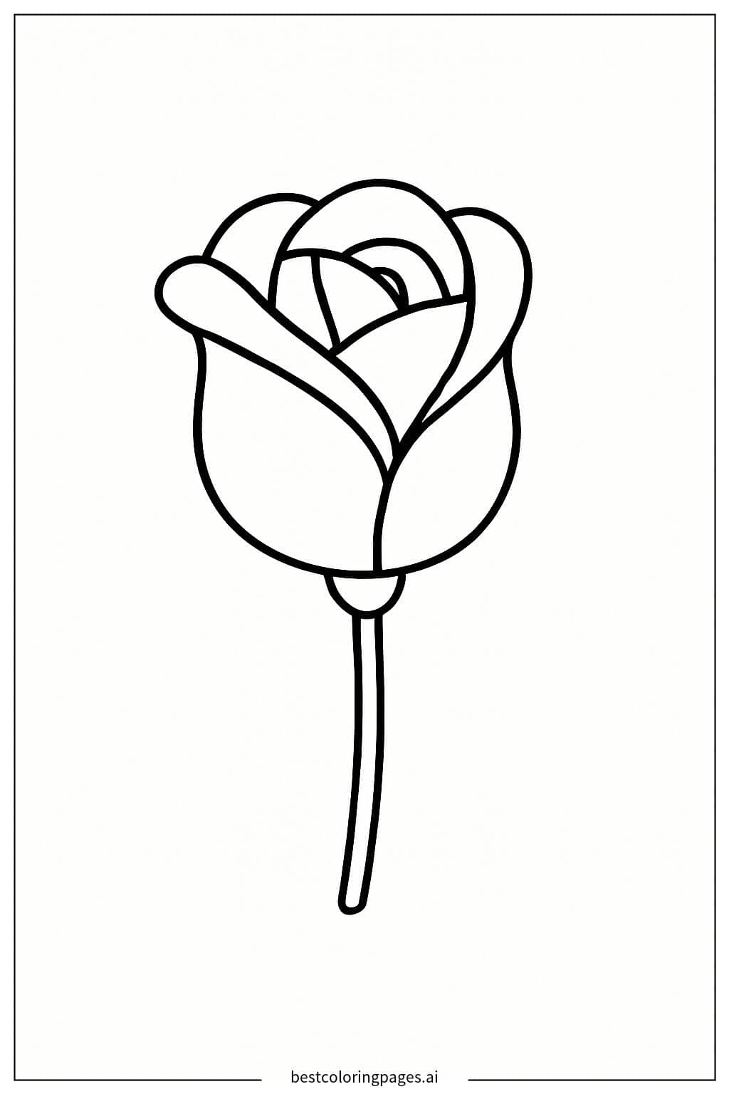 Half-Bloomed Rose Coloring Page