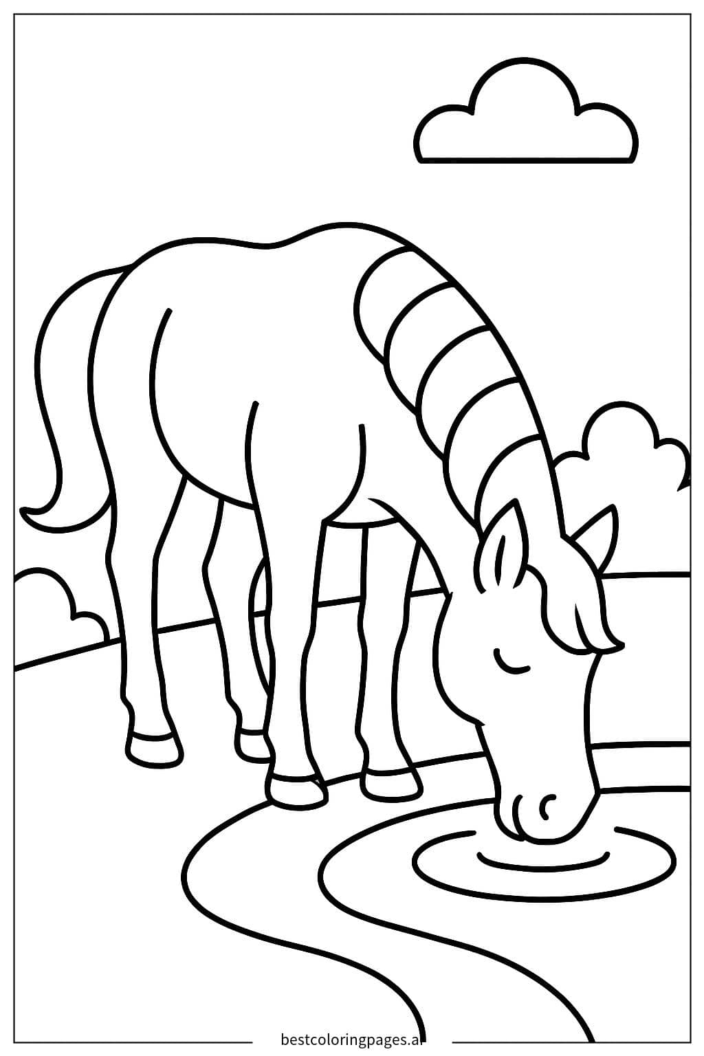 Graceful Horse Drinking Water Coloring Page