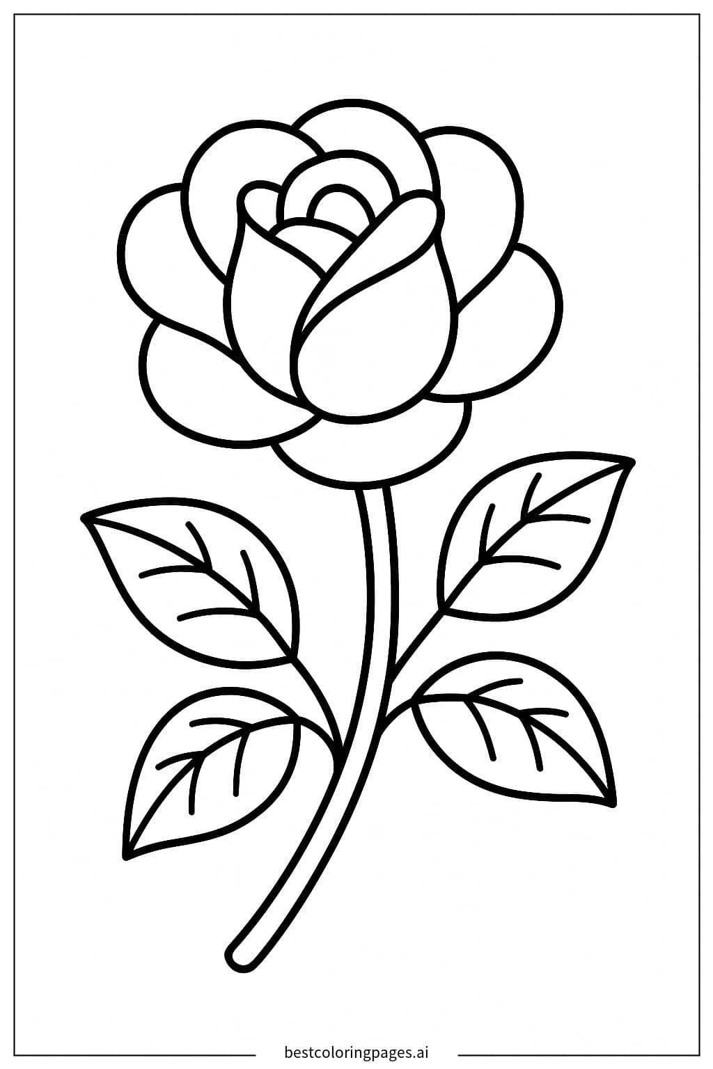 ภาพระบายสี กลีบกุหลาบ