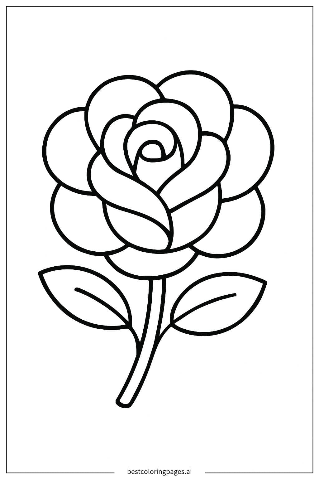 ภาพระบายสี เงาดอกกุหลาบ