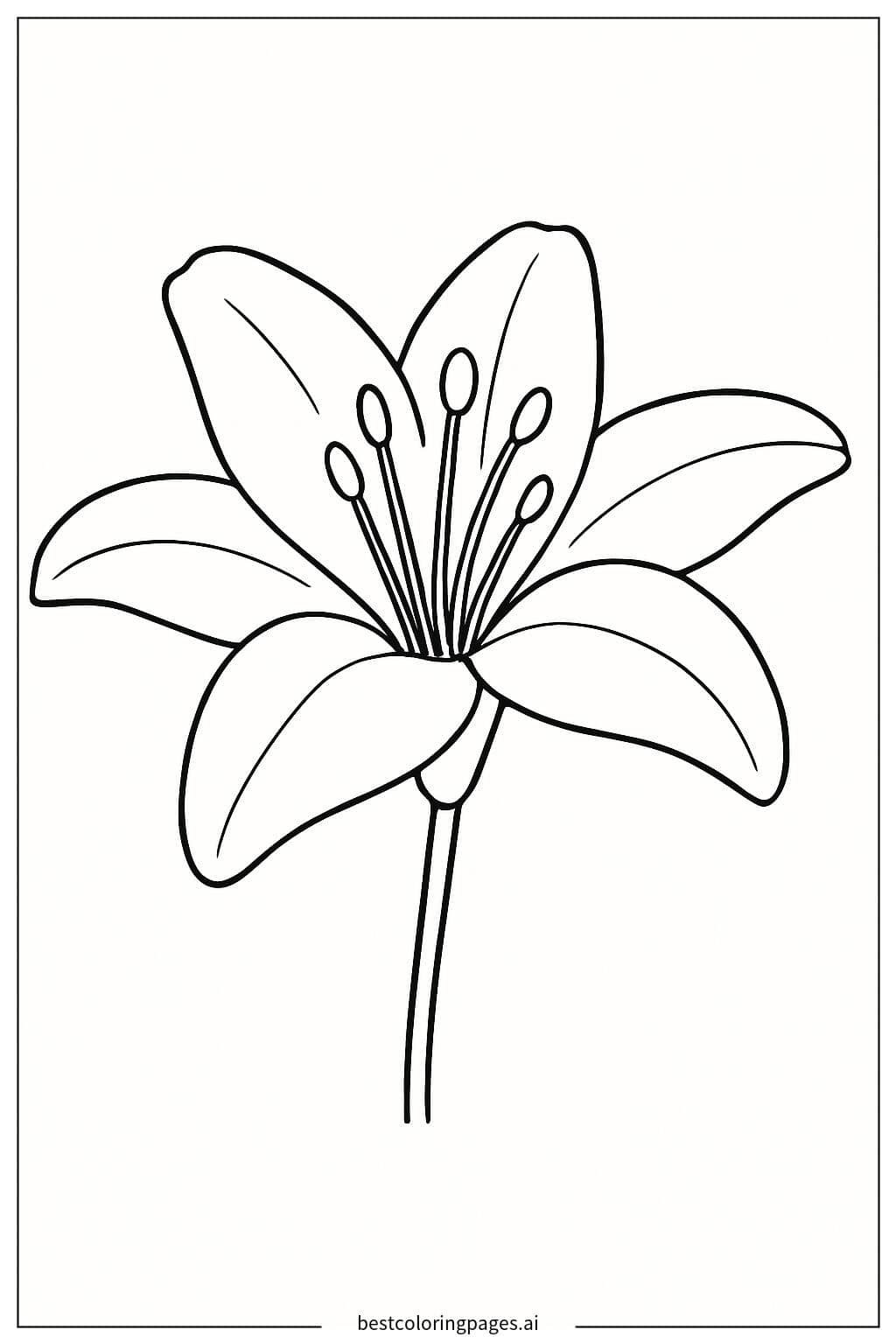 Beautiful Lily Flower Coloring Page Coloring Page