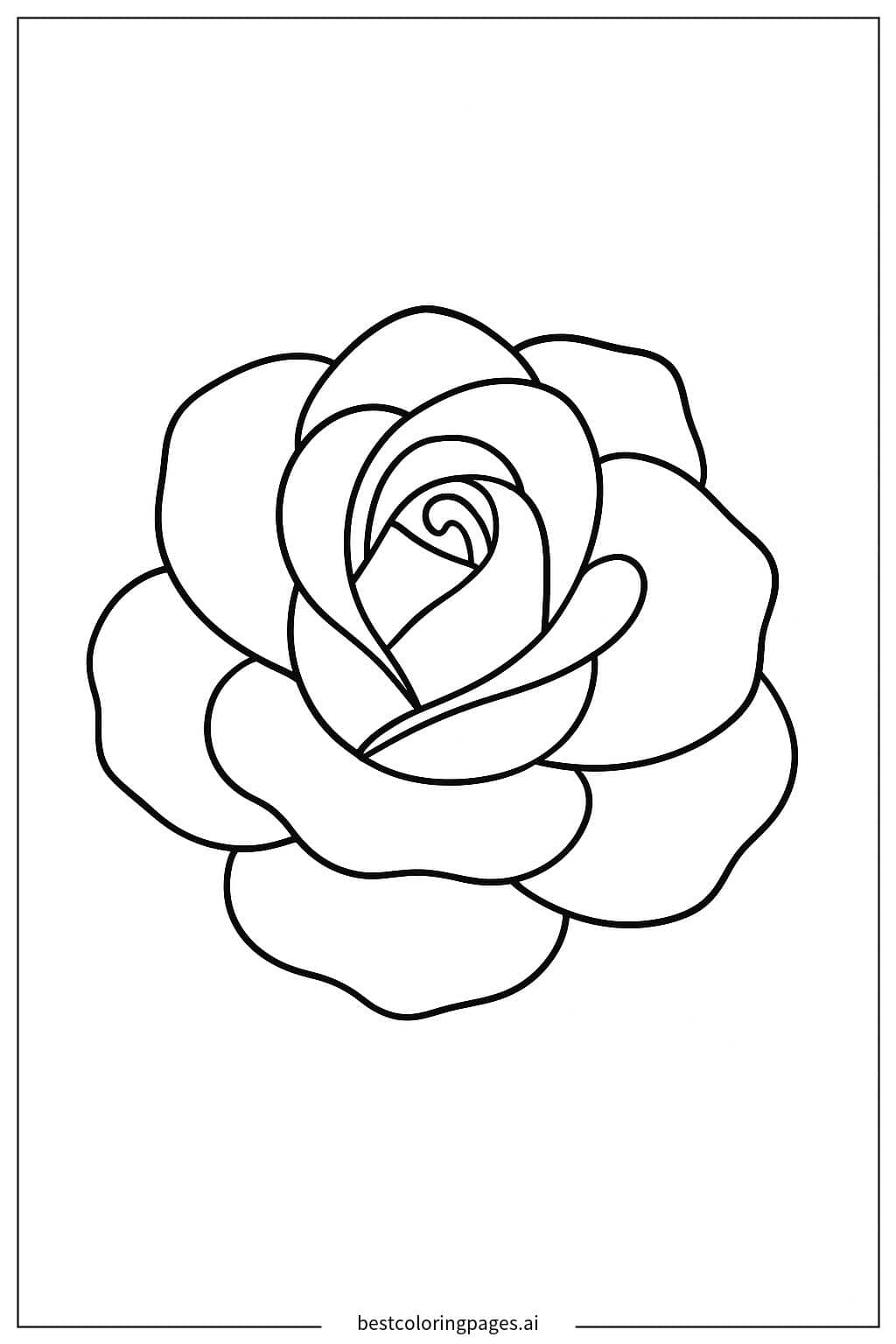 ภาพระบายสี กุหลาบบานเต็มดอก