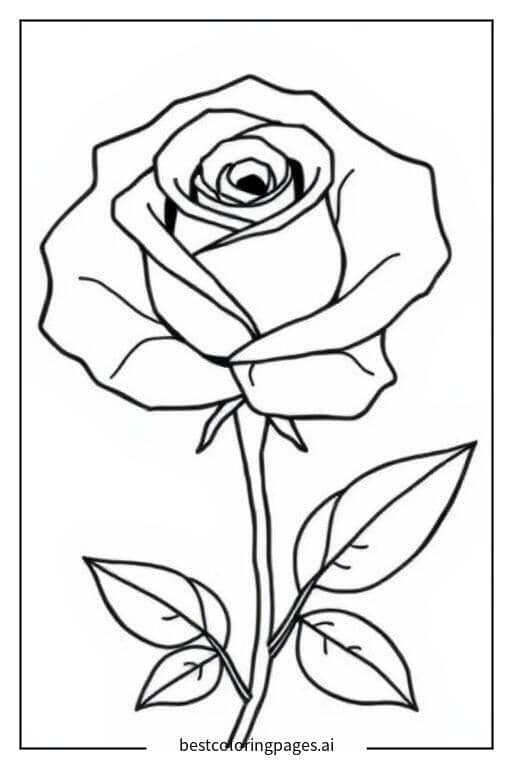 Disegni di Rosa Singola da Colorare