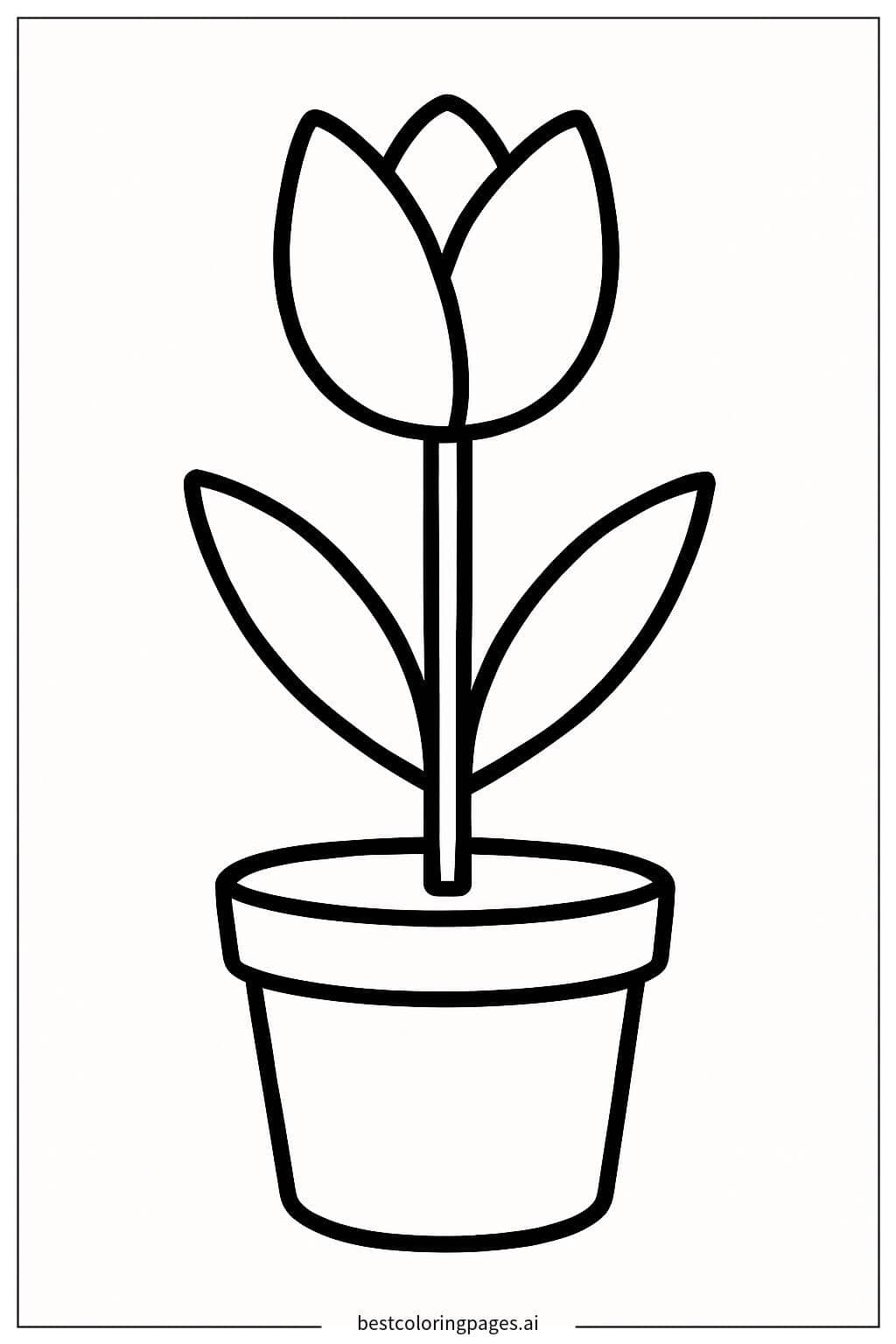 Tulip in a Pot Coloring Page