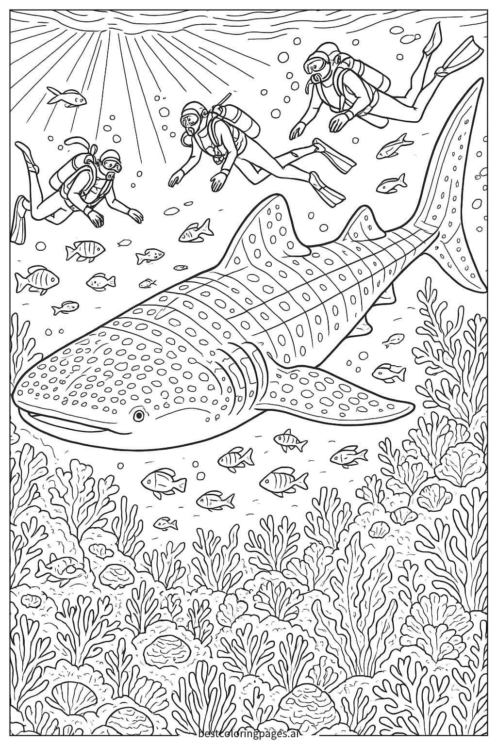 Whale Shark Swimming with Divers Coloring Page