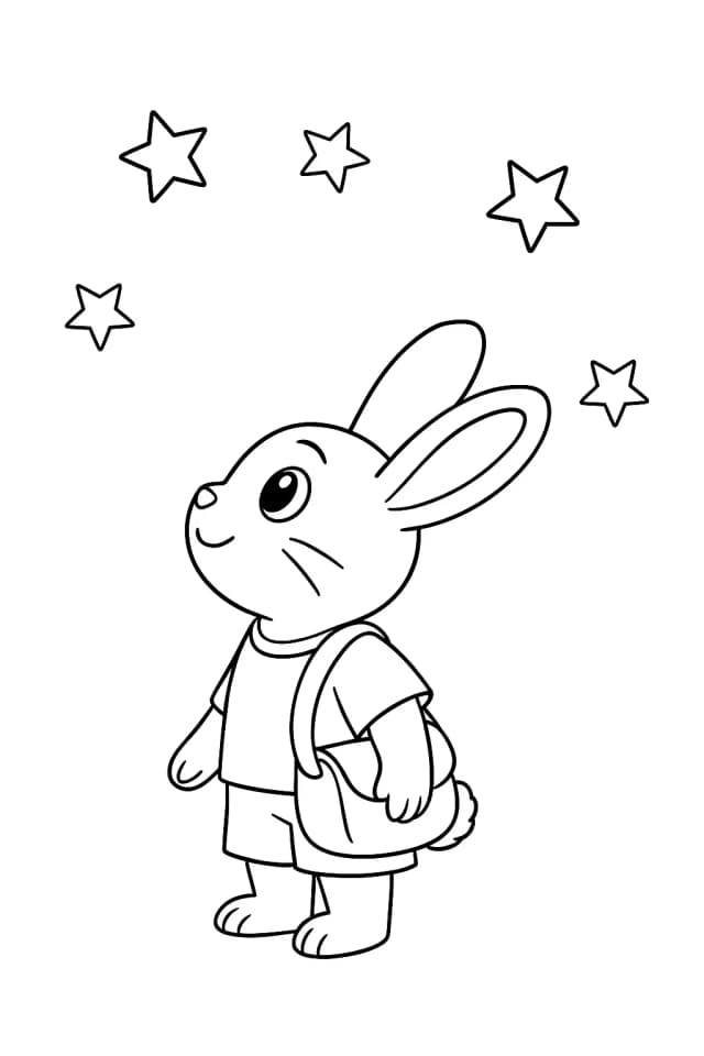 Pipkin gazing at the night sky