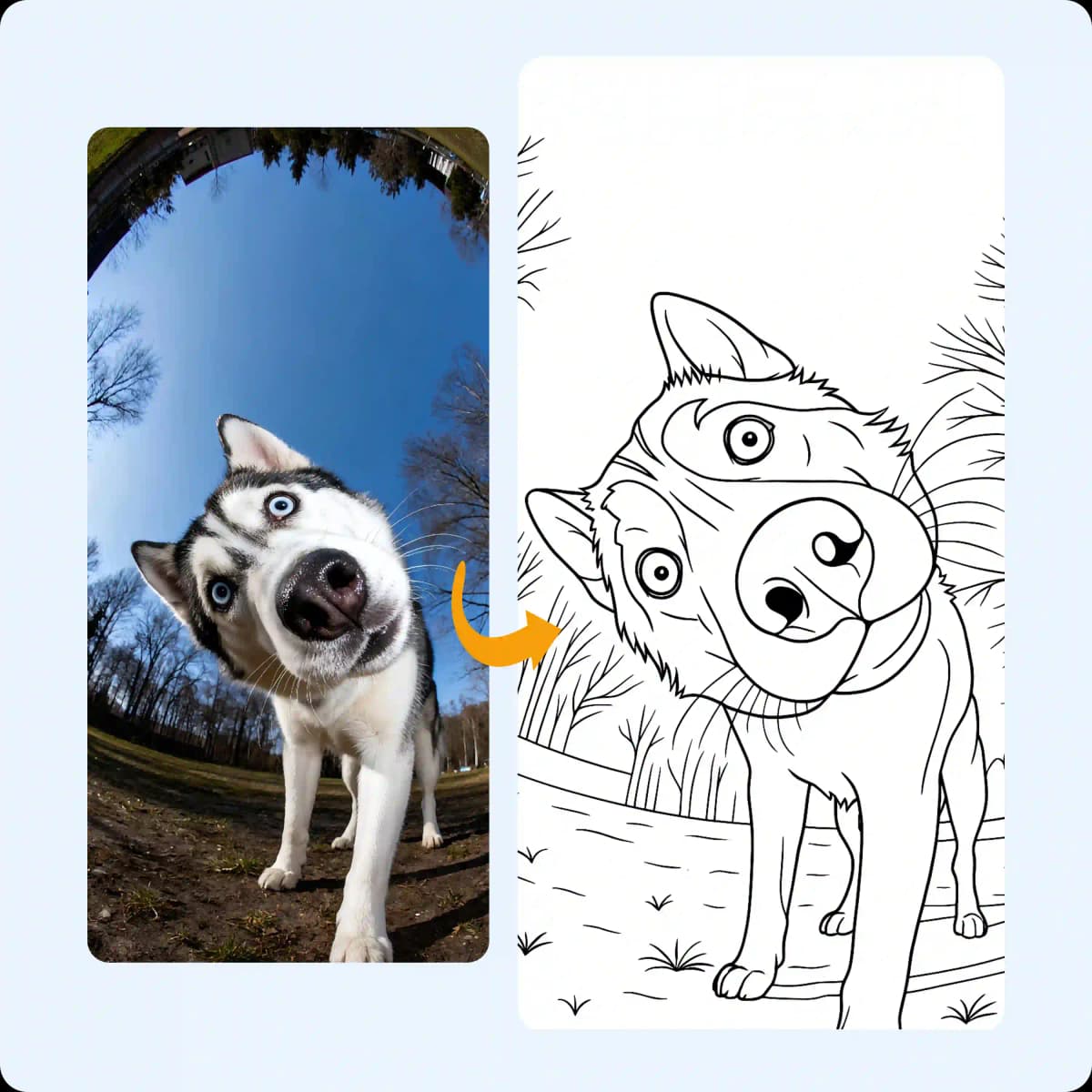 Playful husky photo recreated into fun printable coloring page art.