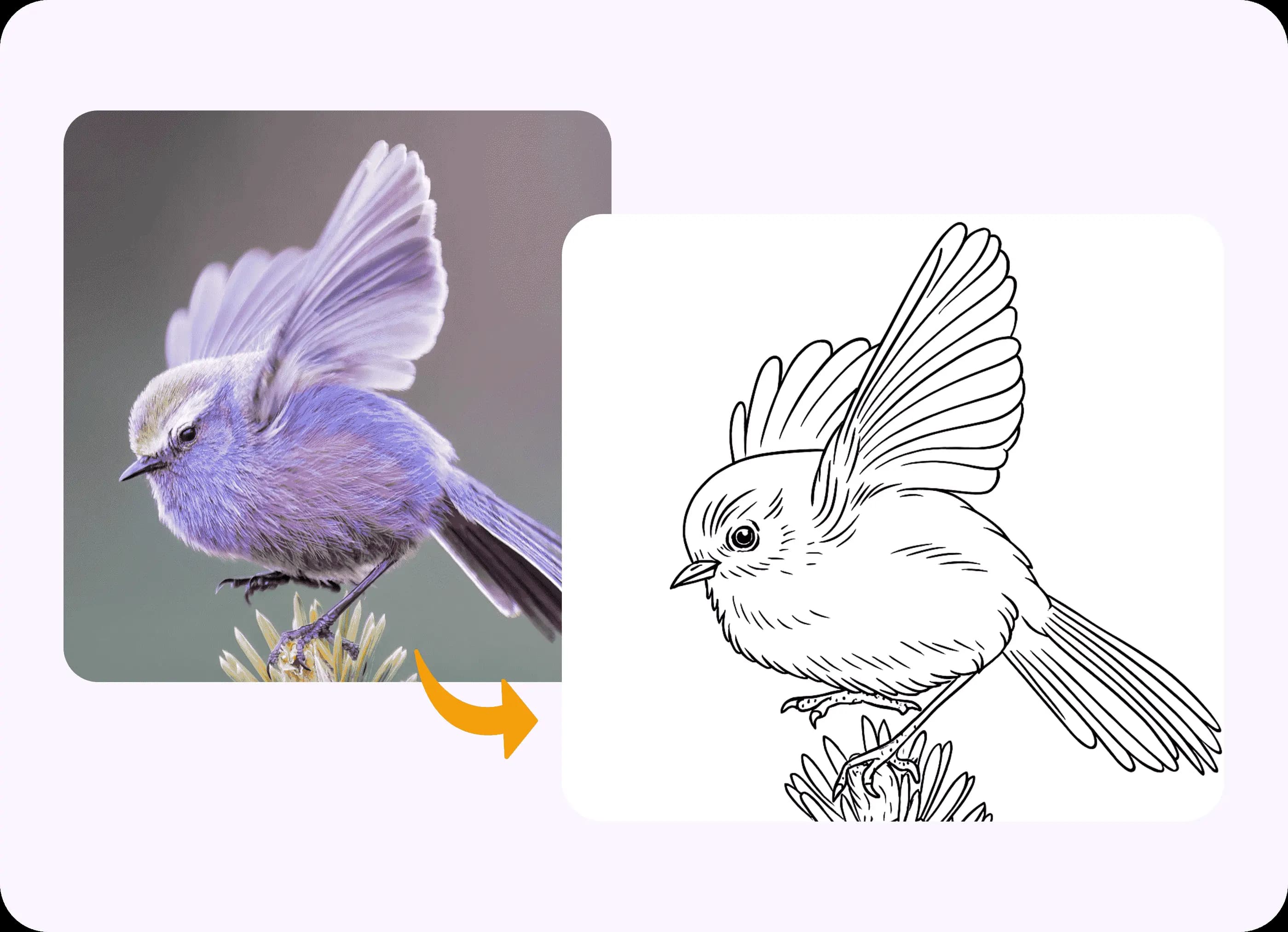 一隻展翅飛翔的鳥兒的生動照片，經過轉換前後對比，已變成一張精細的可列印線稿著色頁。