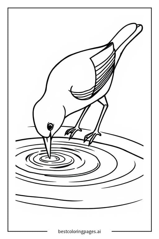 Bird Drinking from a Pond