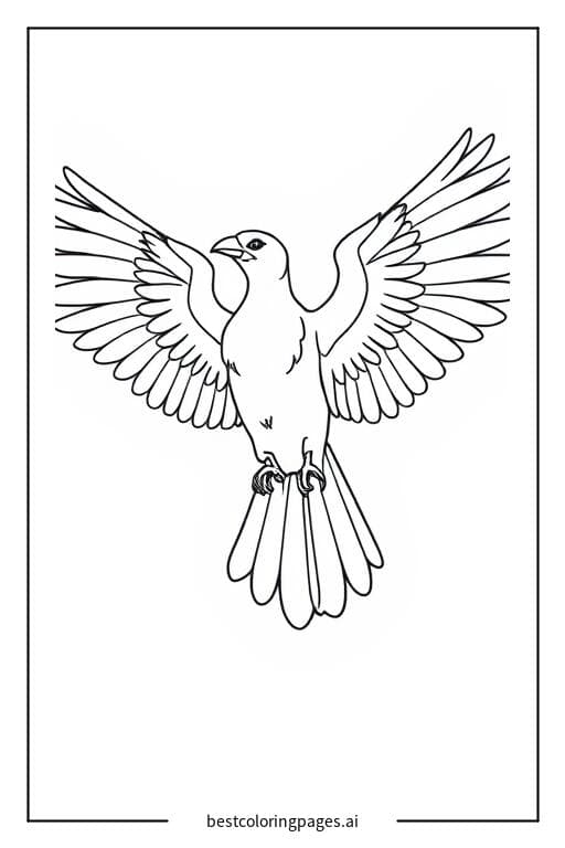 A Bird with Spread Wings Coloring Page