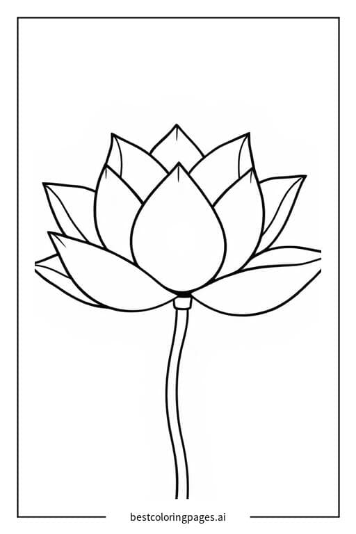 Eine Lotosblume Ausmalbilder