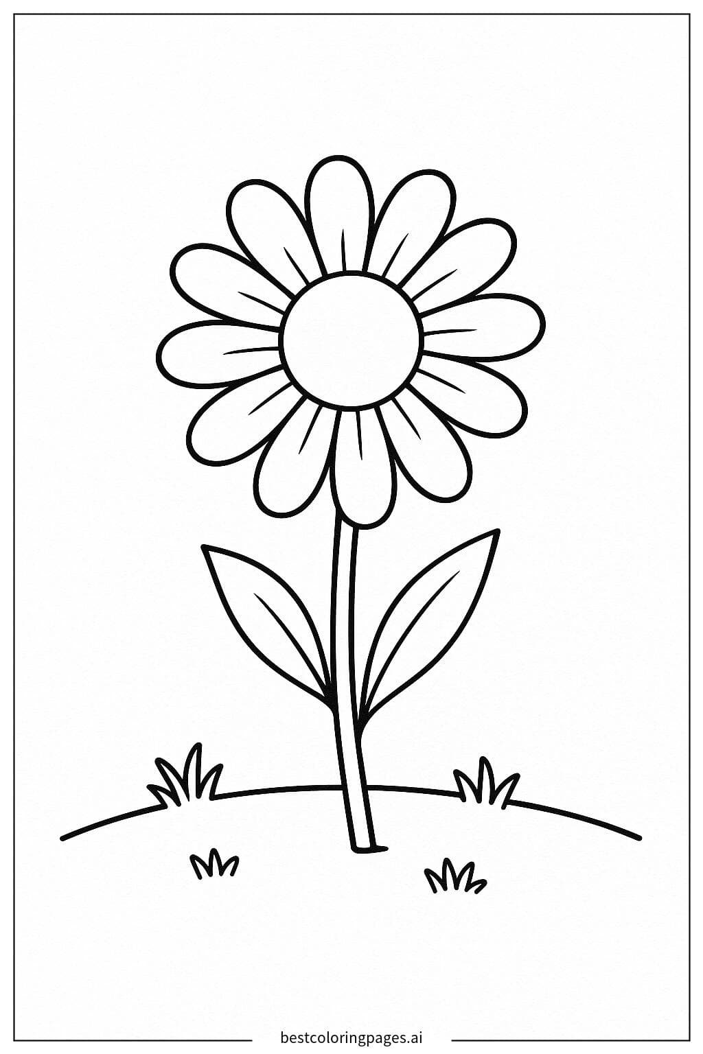 シンプルなデイジーの花