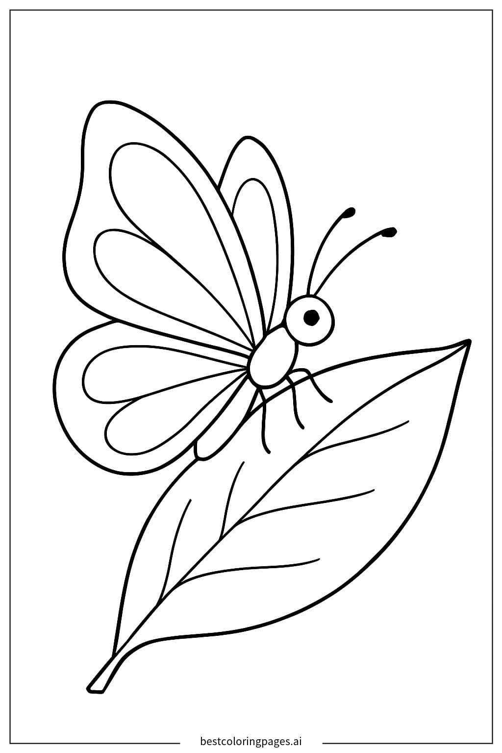Dibujos de Una mariposa sobre una hoja para Colorear