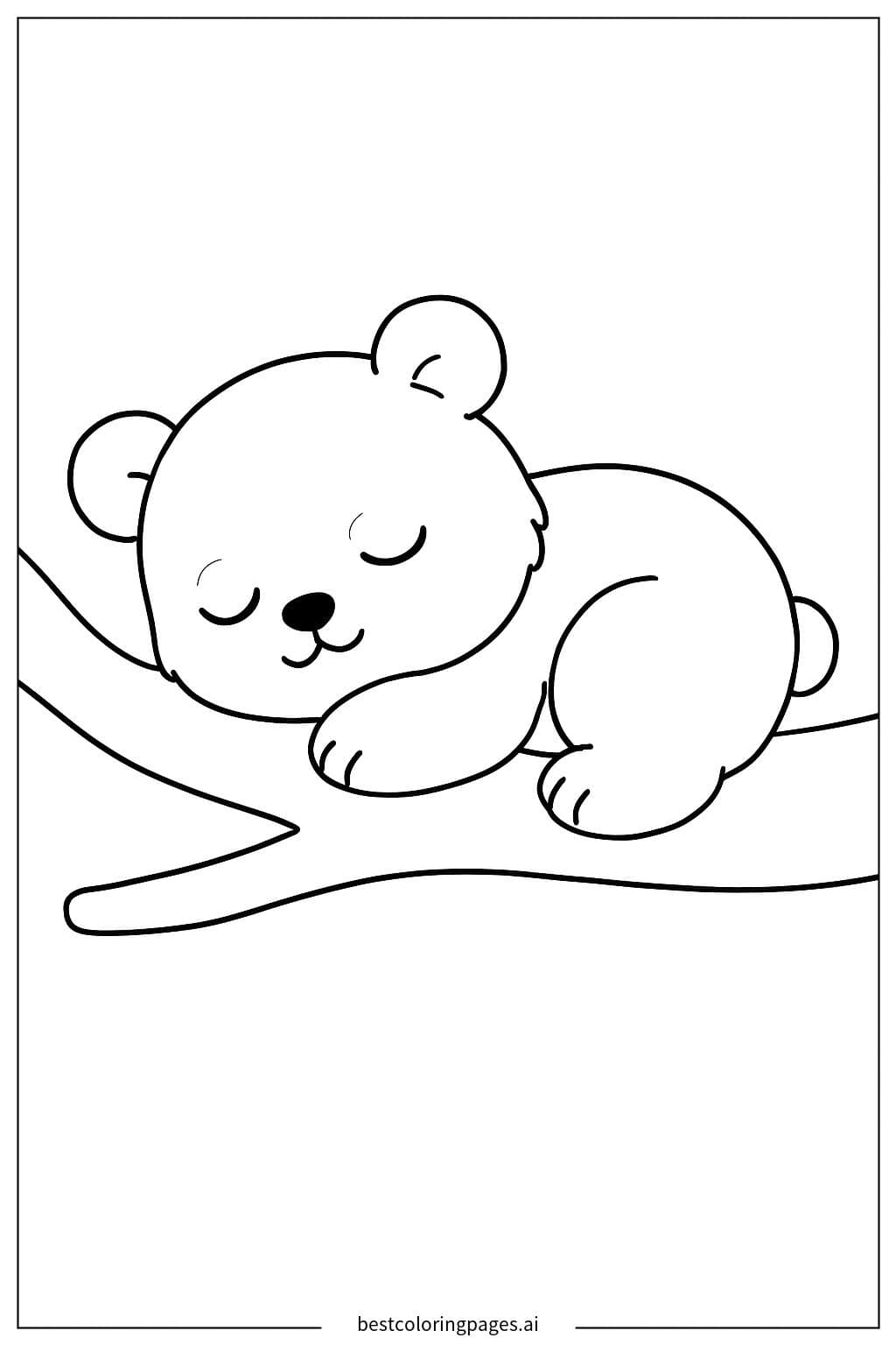 Bébé panda dormant sur une branche