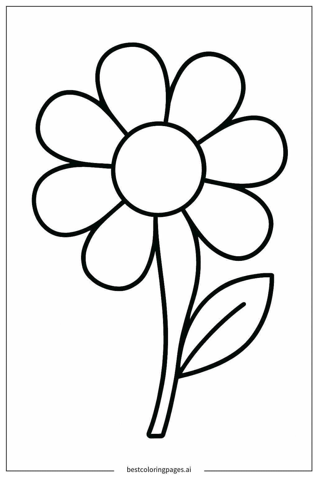 Flor Simples e Charmosa