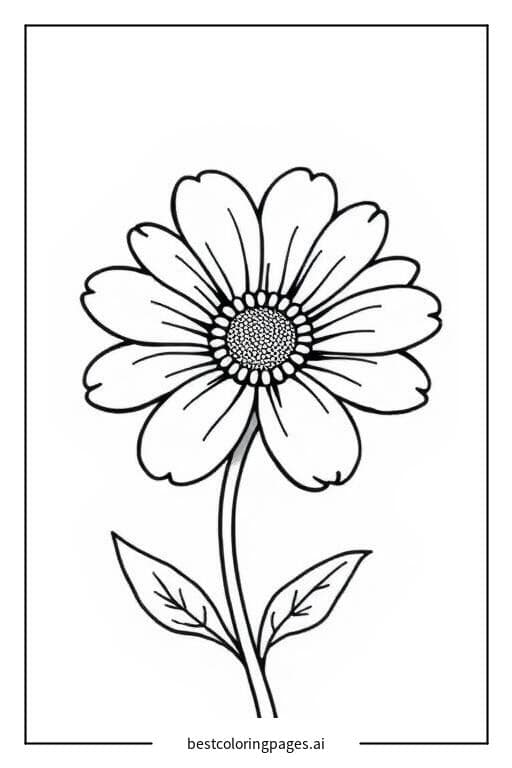 Blühende Gänseblümchen Ausmalbilder