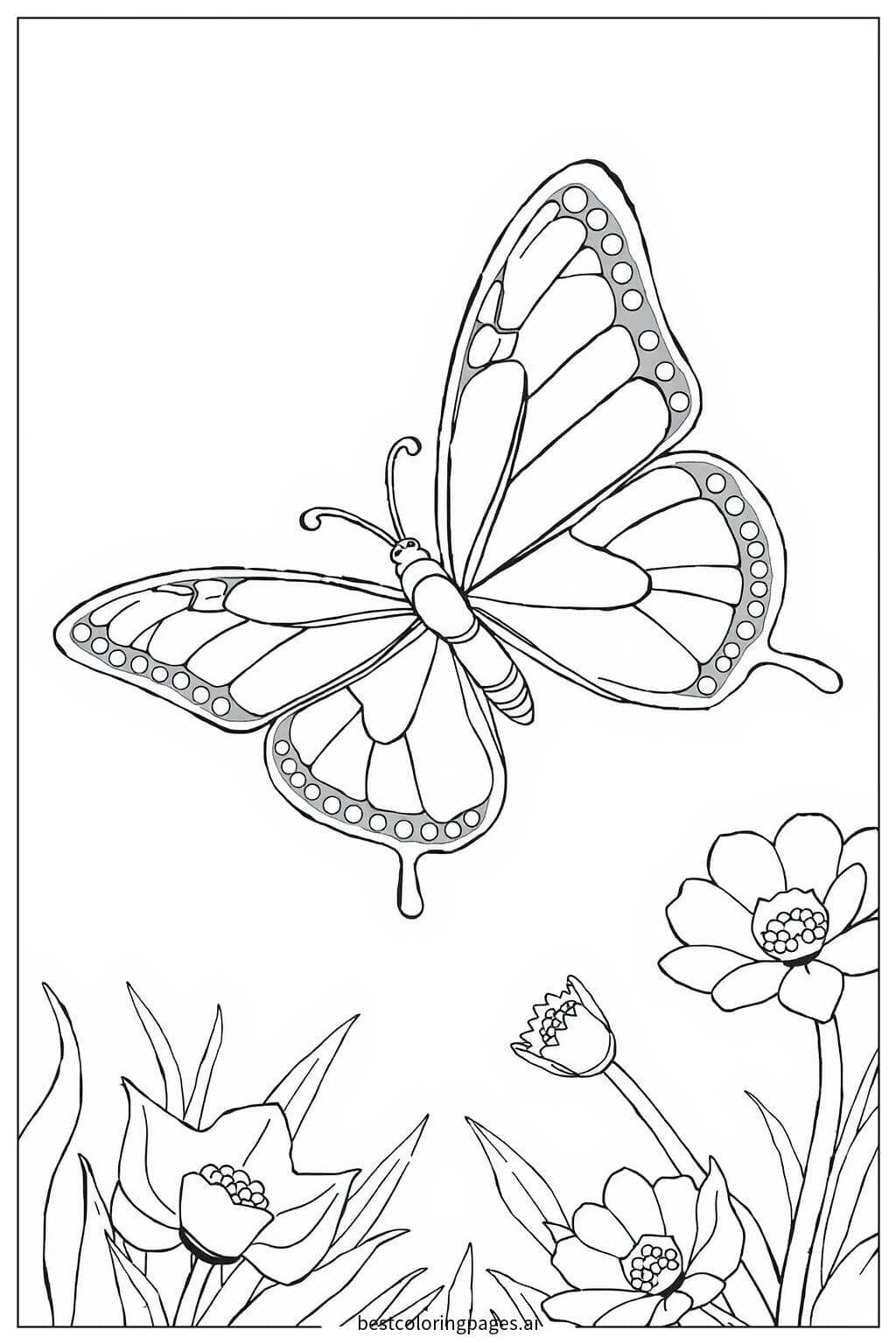 Graceful Butterfly in Flight