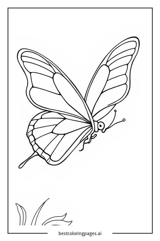 Butterfly Glimmering in the Sunlight