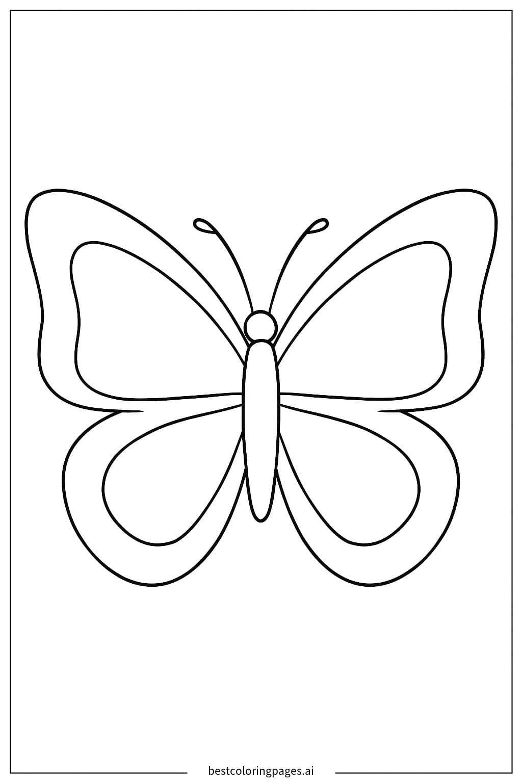 Captivating Butterfly Silhouette
