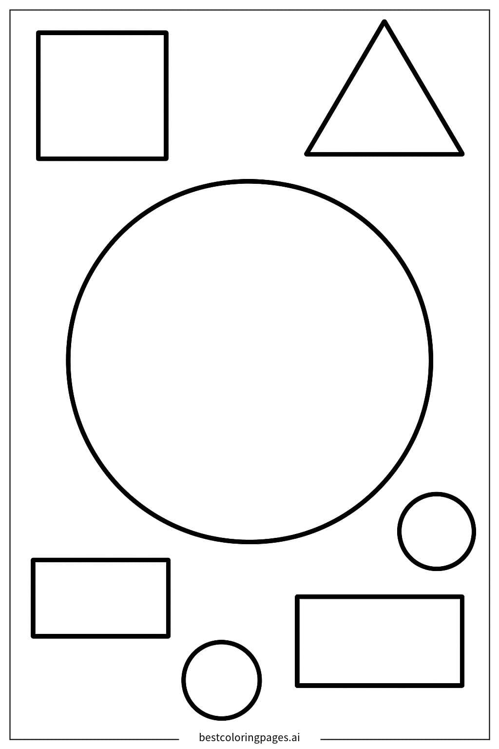 Vibrant Circle Adventure