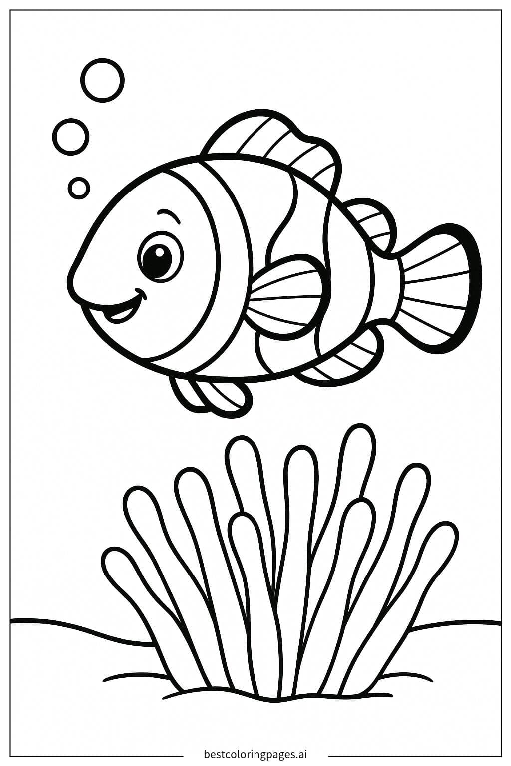 Clownfisch in Seeanemone