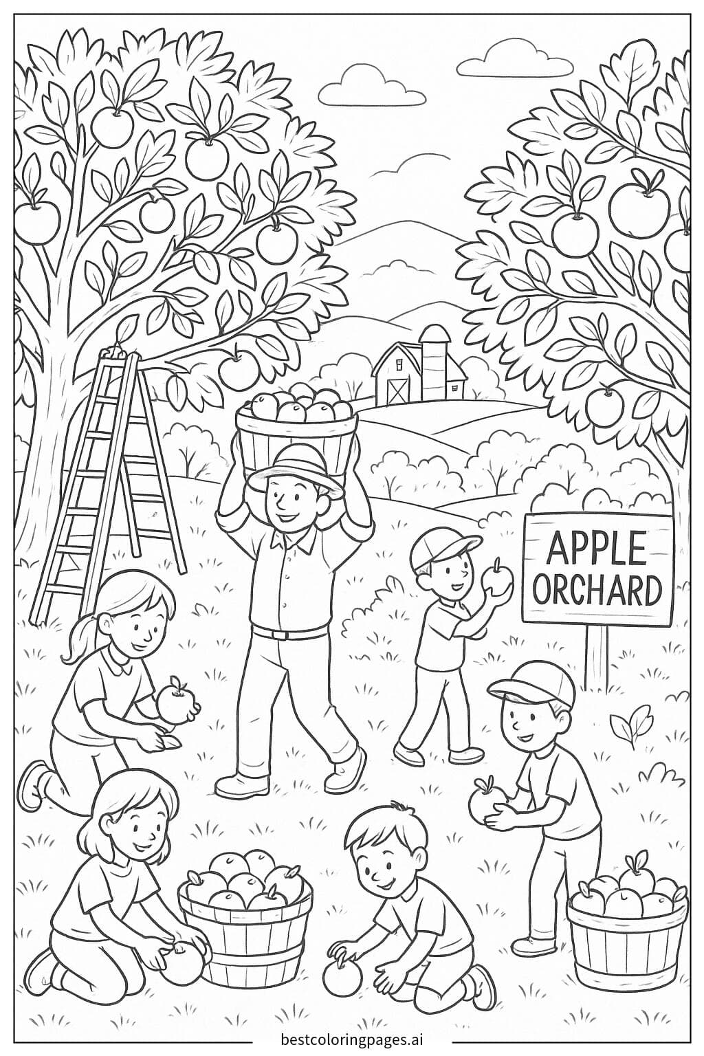 Apple Harvest in the Orchard