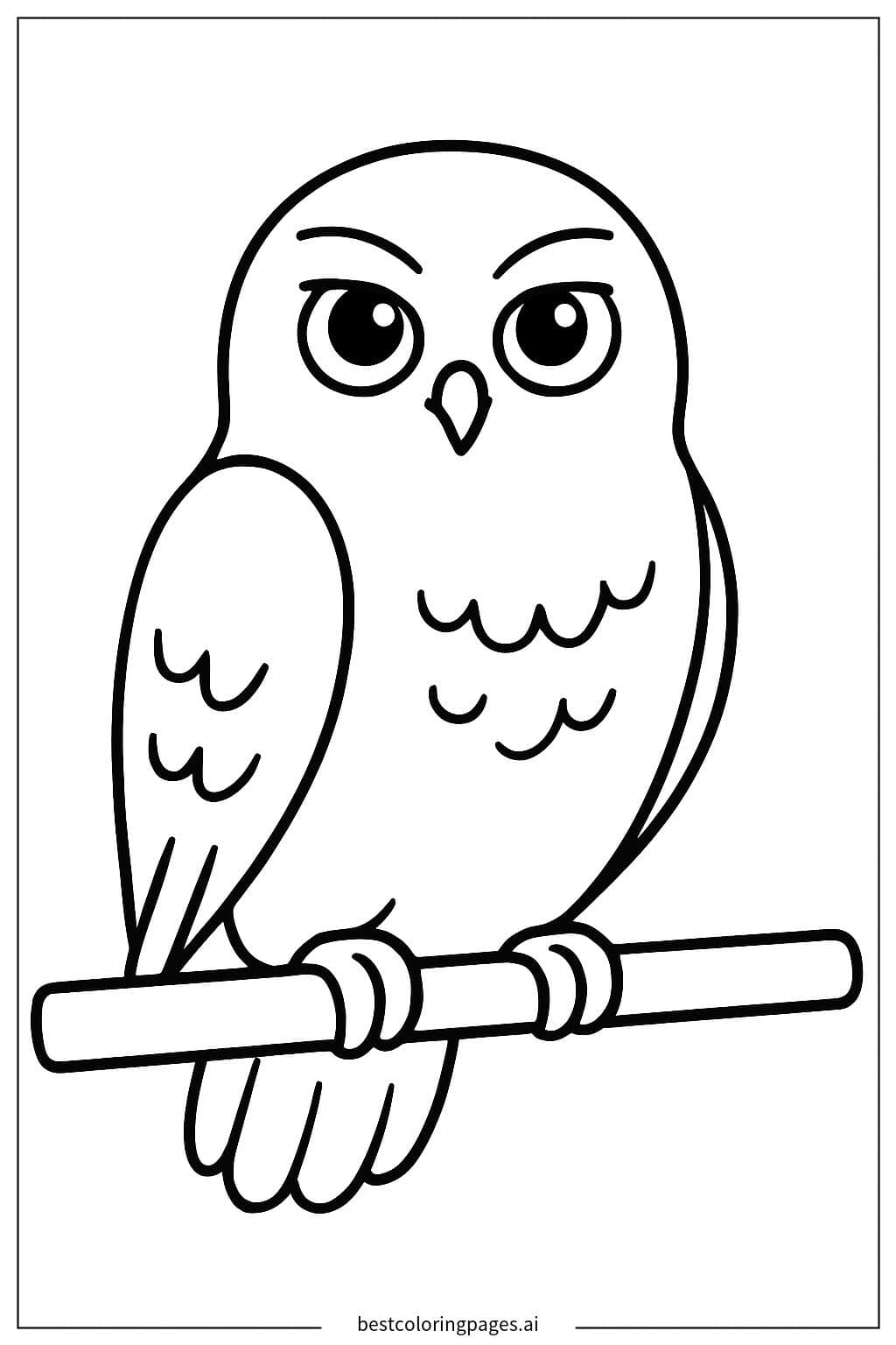 Hedwig sitzt auf einem Ast Ausmalbilder