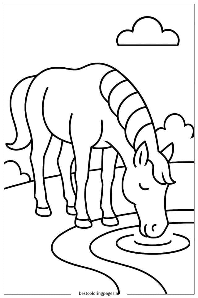 Graceful Horse Drinking Water Coloring Page