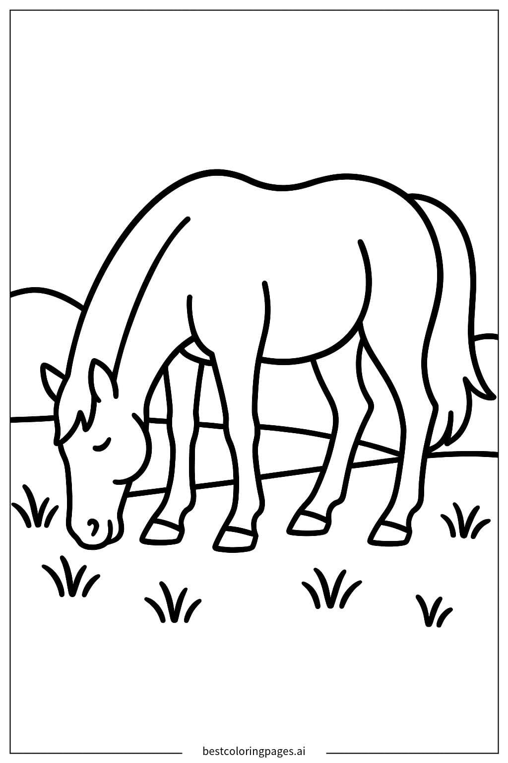 Caballo pastando en el campo