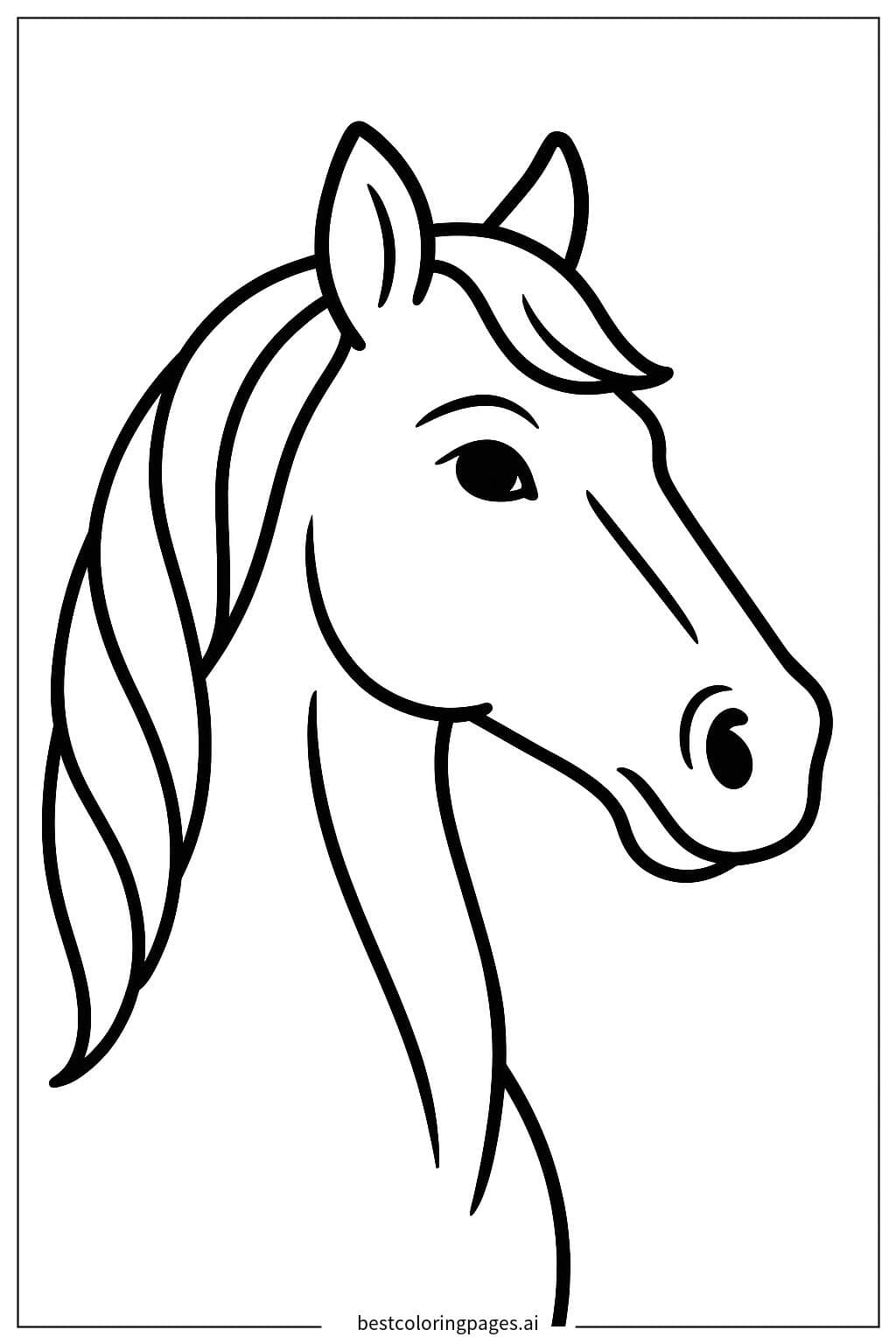 Perfil de la cabeza de caballo