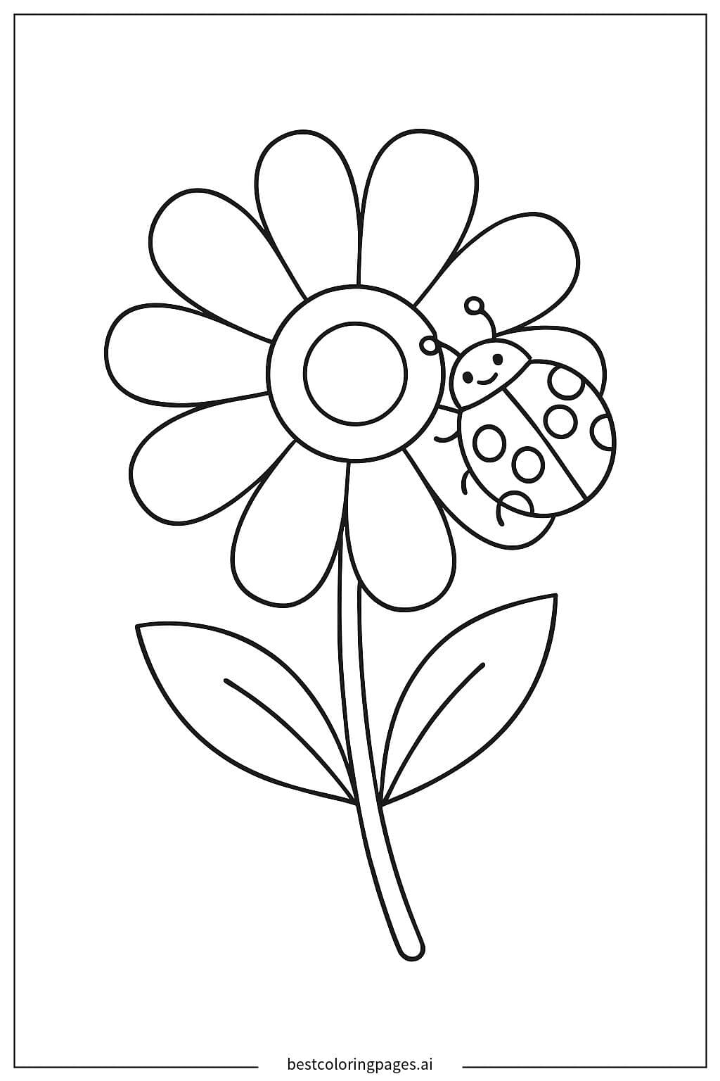 Coccinella che Cammina su un Fiore