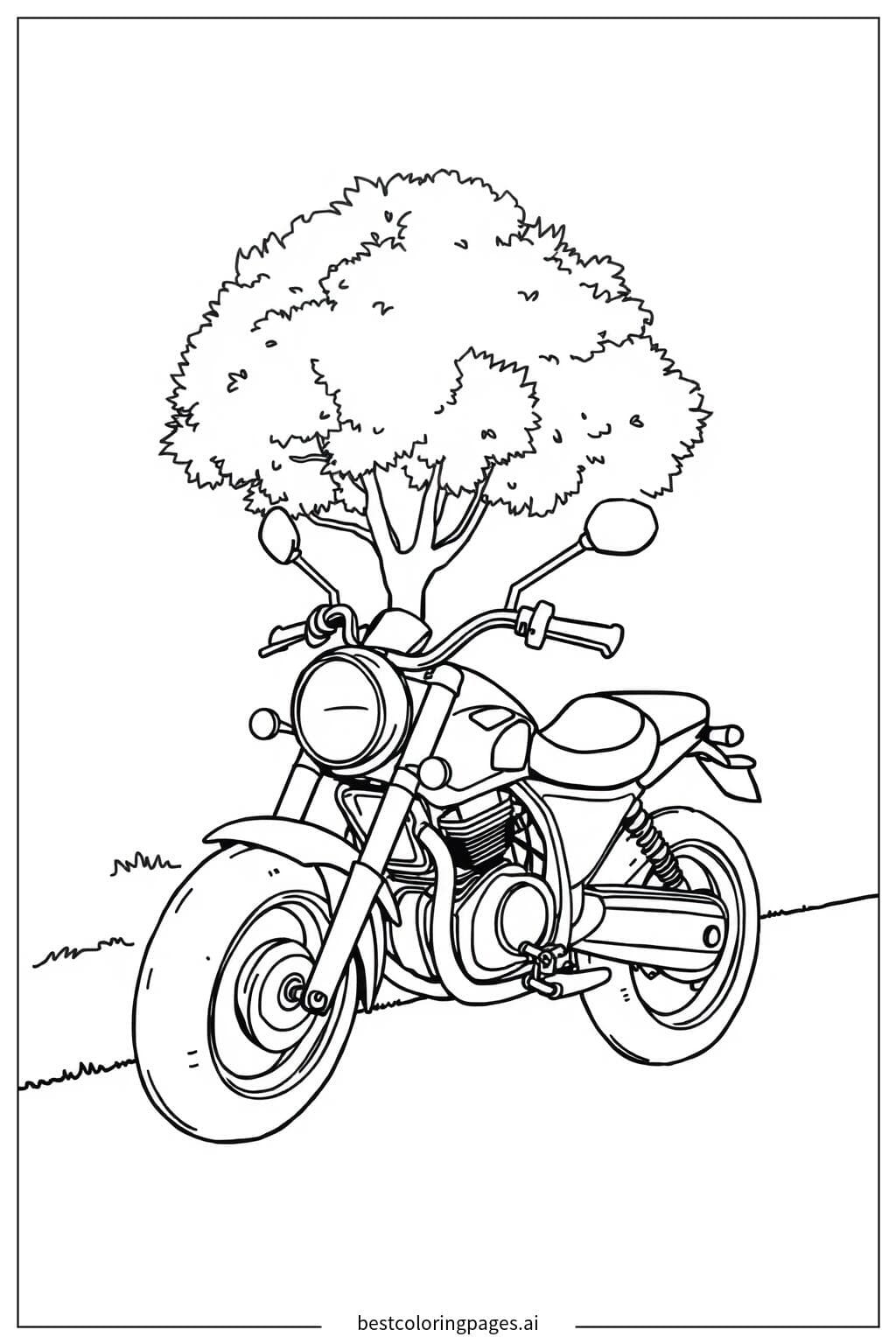 Motorcycle Under the Tree
