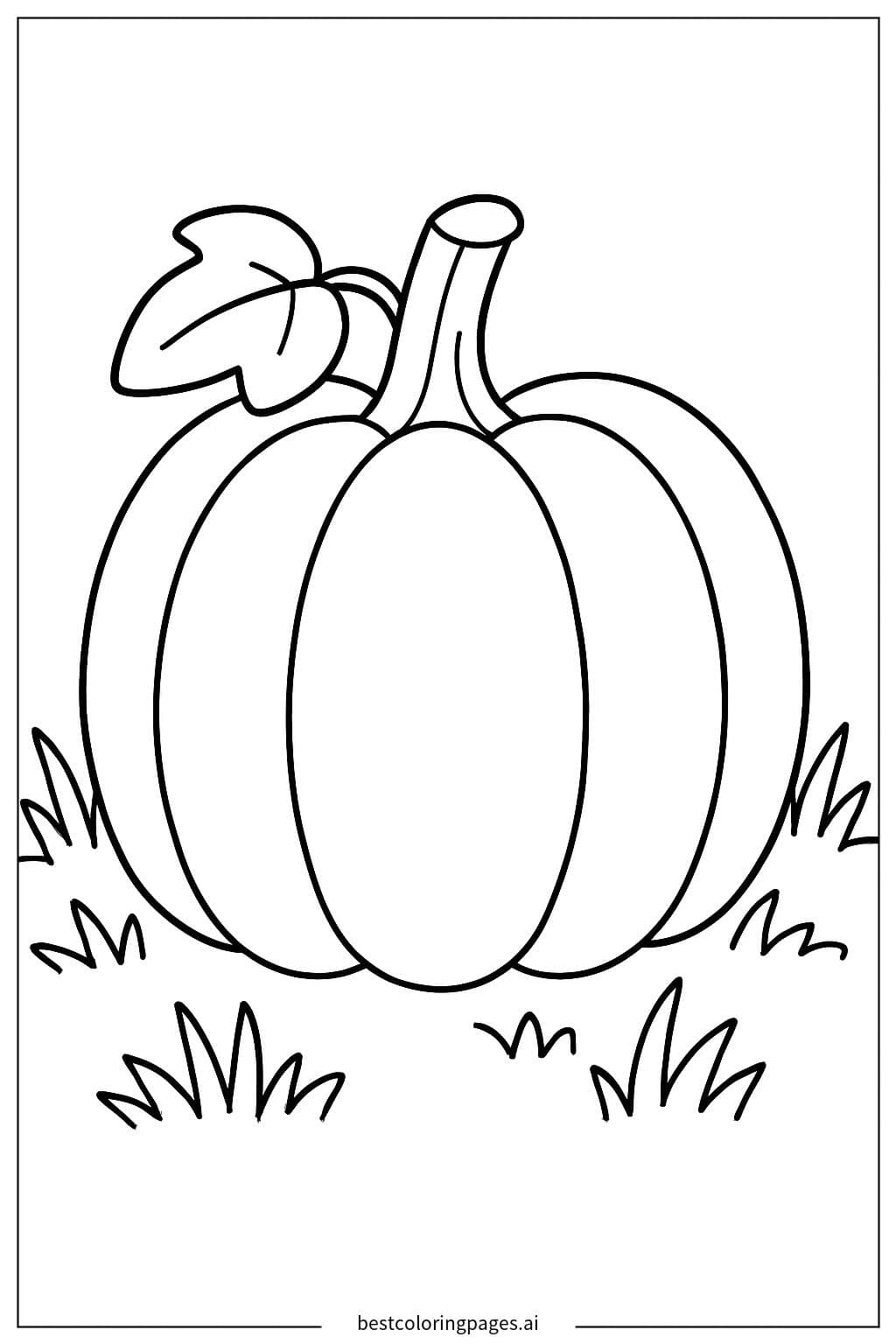 Pumpkin in the Patch
