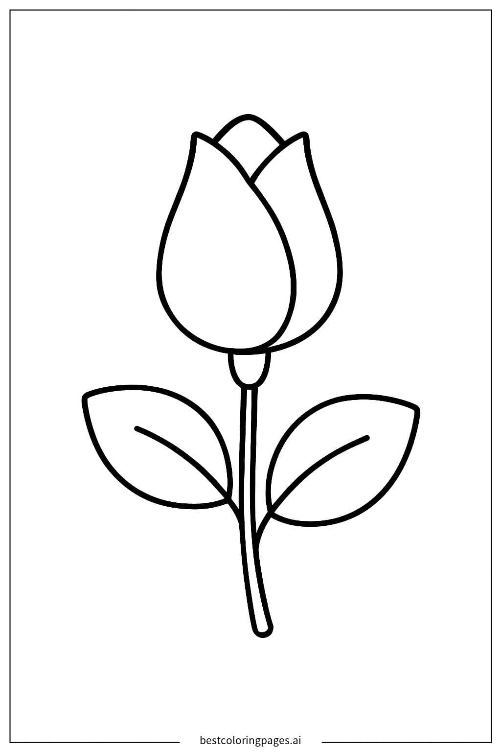 Rose Bud with Leaves Coloring Page