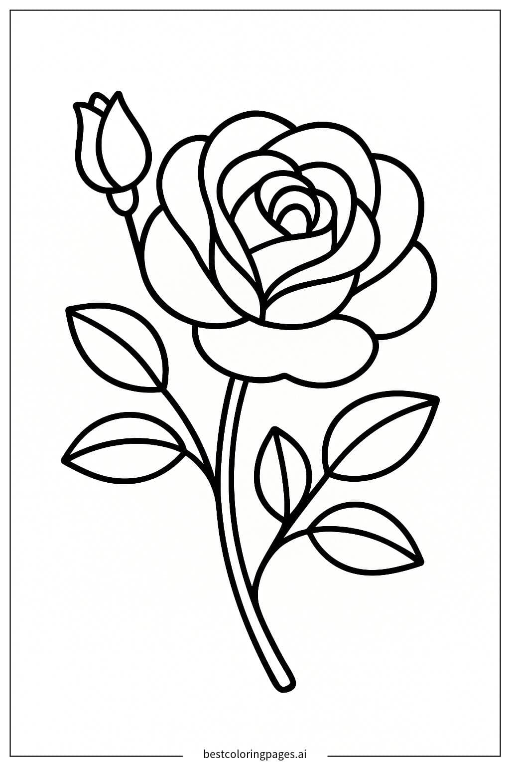 Beautiful Rose Bud
