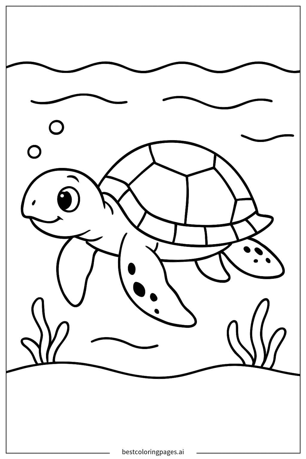 Contour de Tortue de Mer