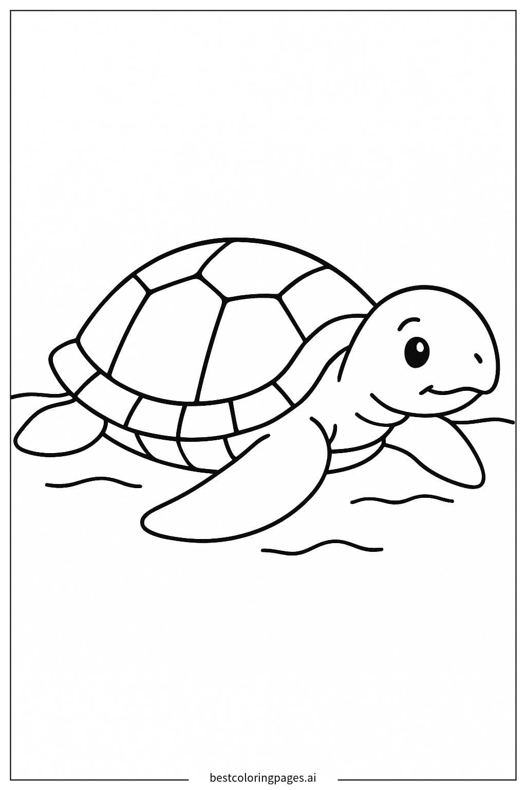 Tortue de mer reposant sur le sable