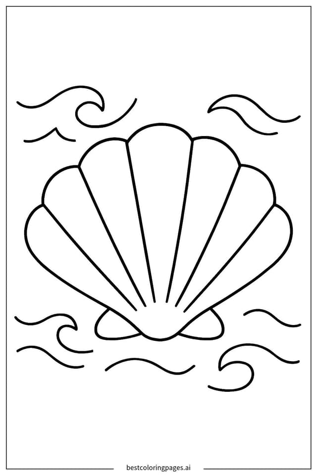 Sammlung von Muscheln Ausmalbilder
