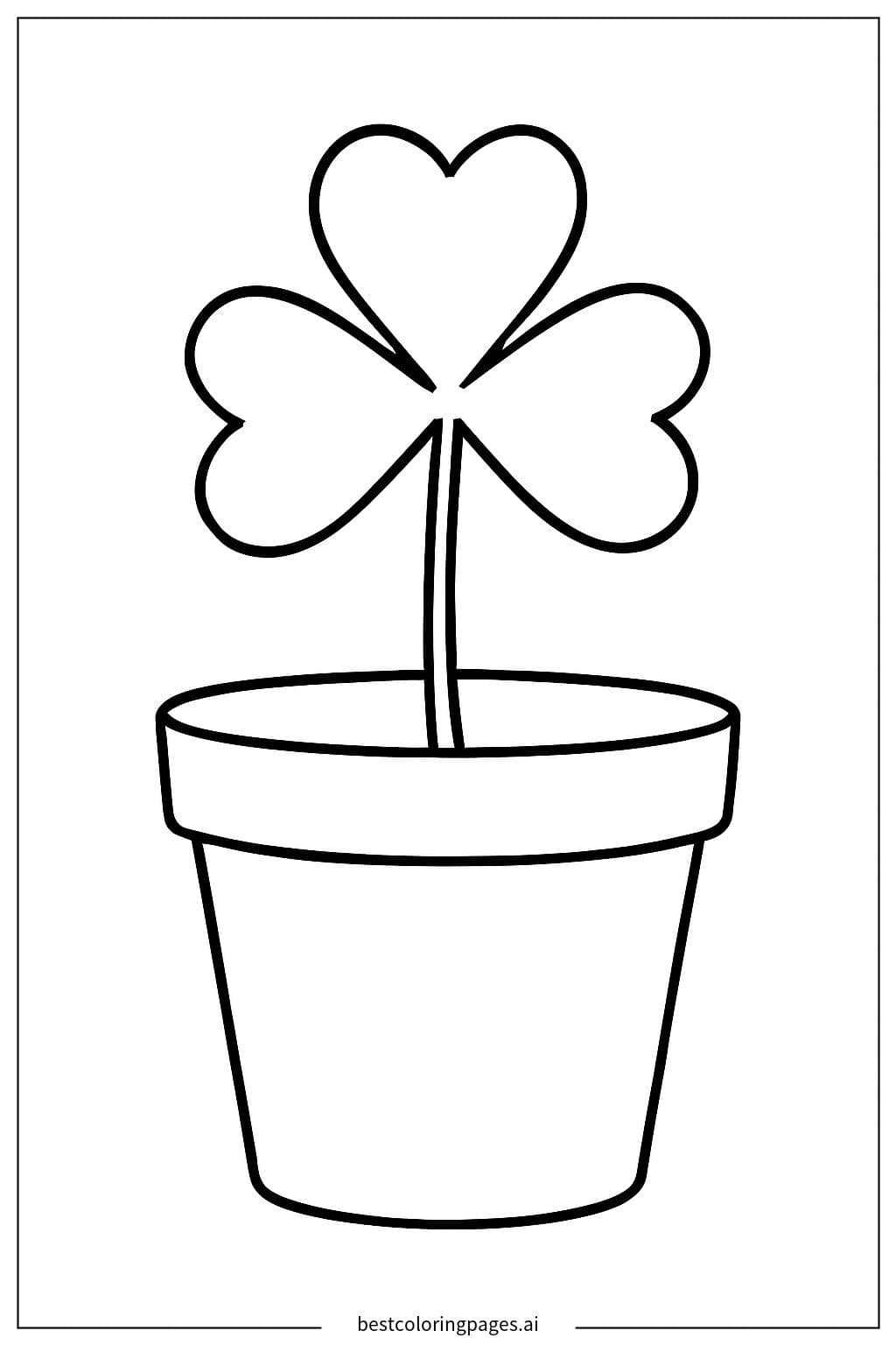 Shamrock in a Flower Pot