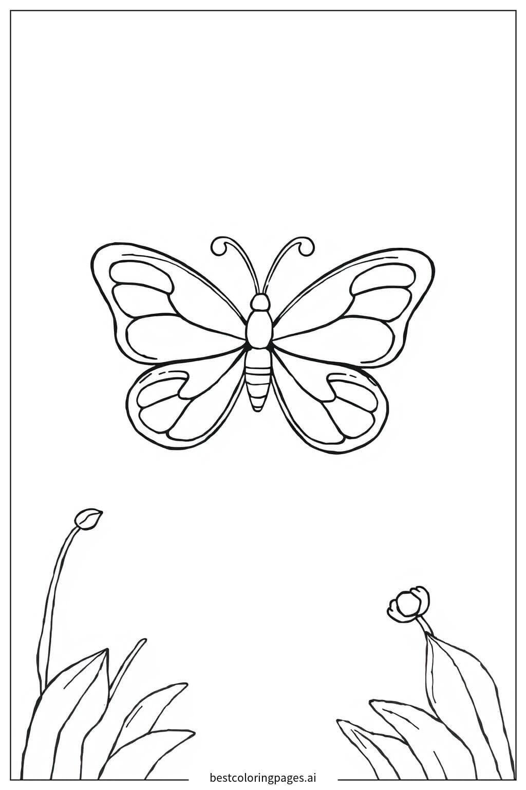 Graceful Butterfly with Open Wings