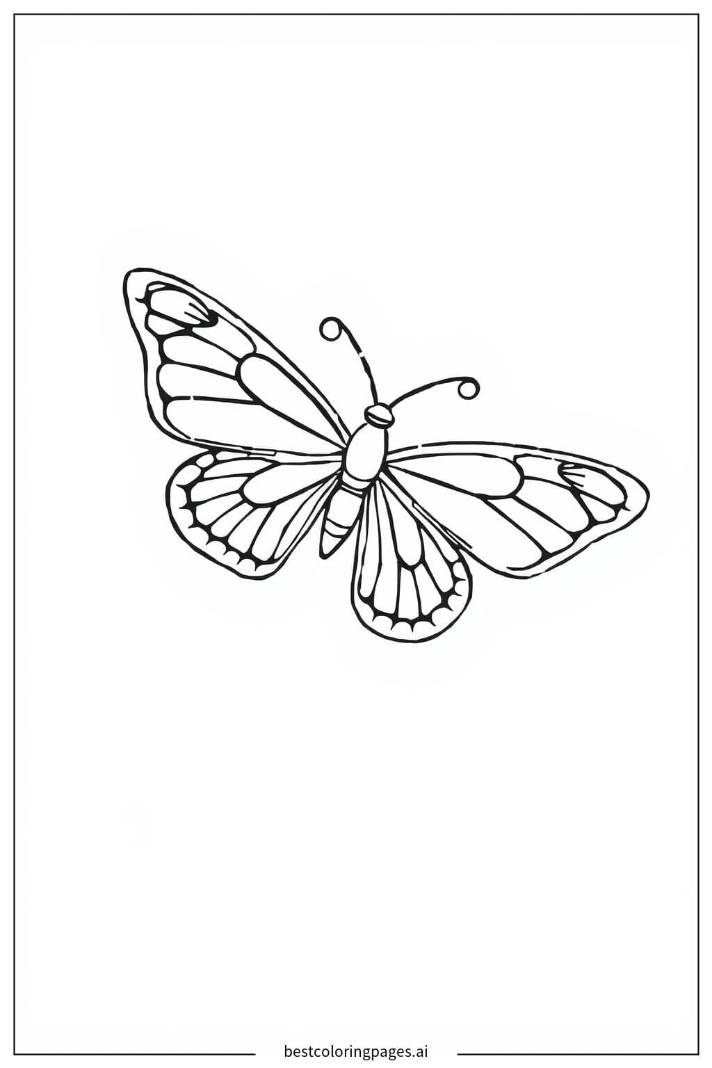 Graceful Butterfly with Open Wings