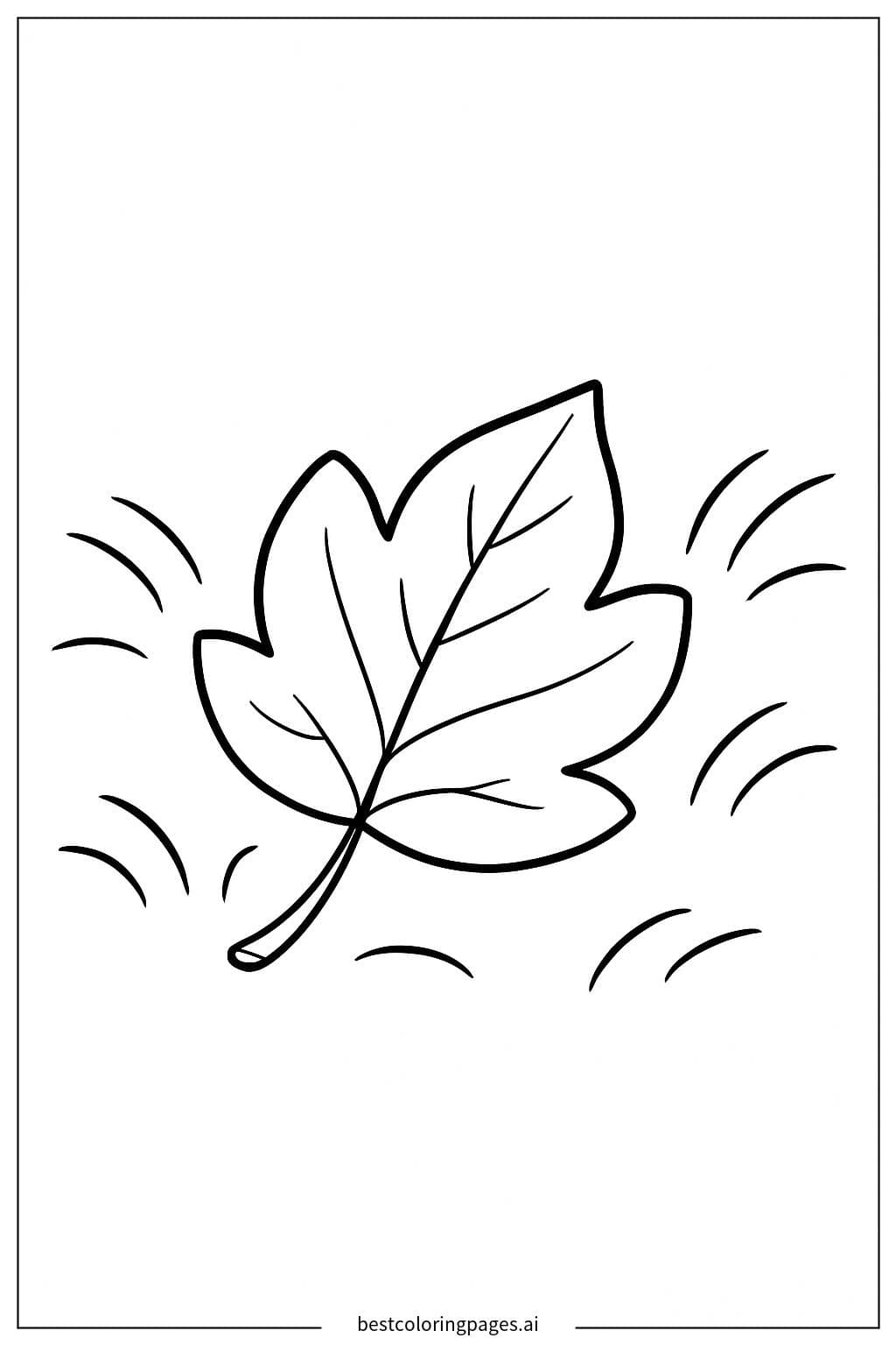 Einzelnes Blatt am Boden