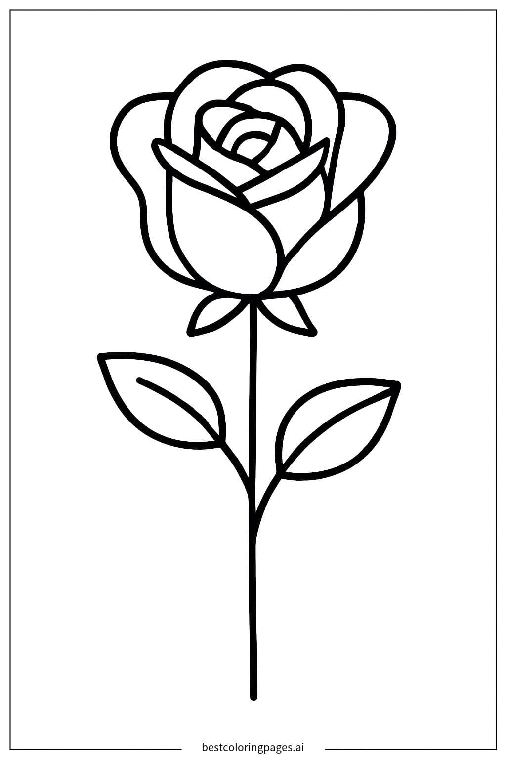 Elegant Single Rose with Leaf