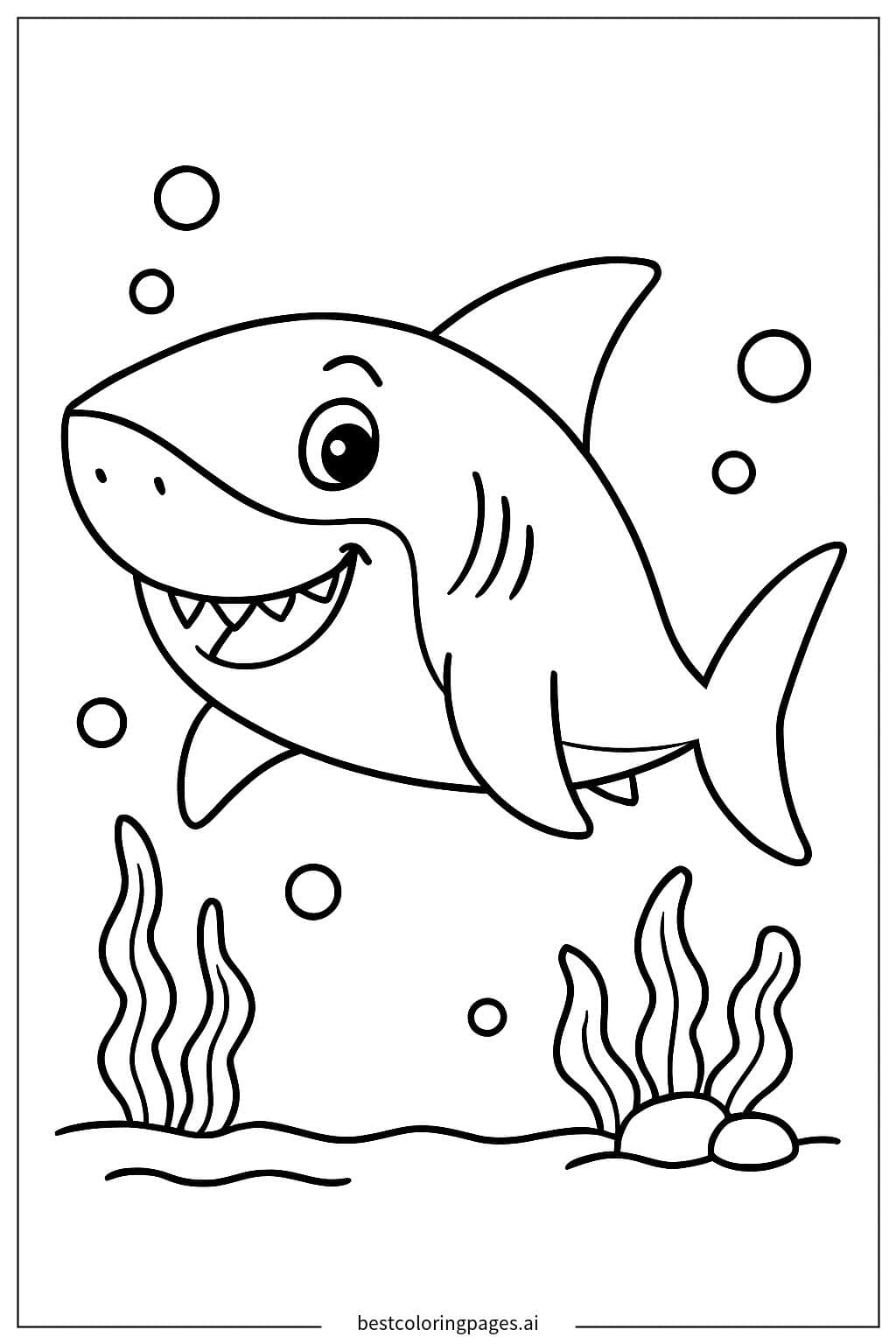 Smiling Shark Adventure