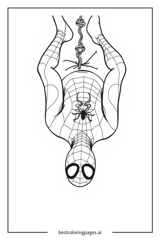Spiderman Hanging Upside Down Coloring Pages