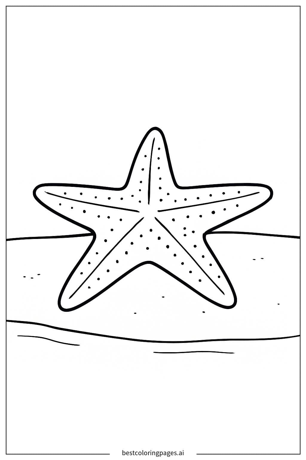 沙灘上的海星 著色圖